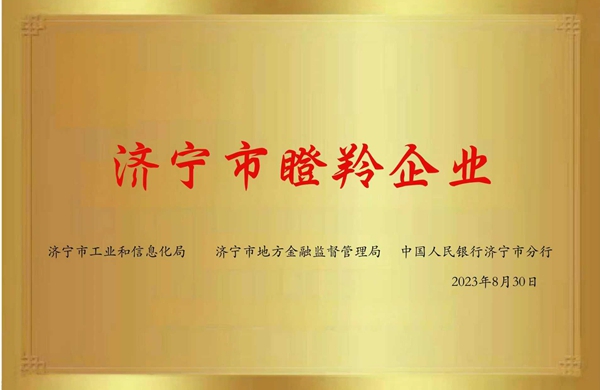 濟(jì)寧市瞪羚企業(yè)